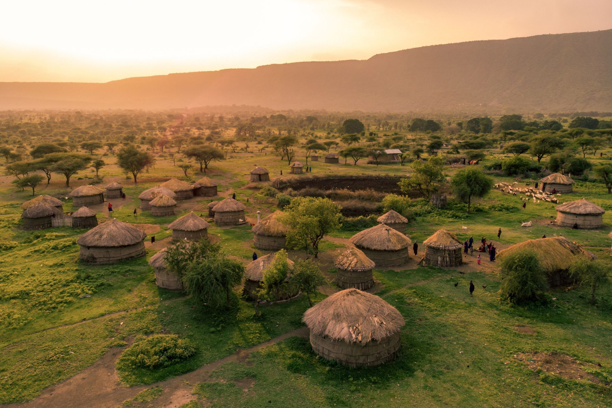 Arusha